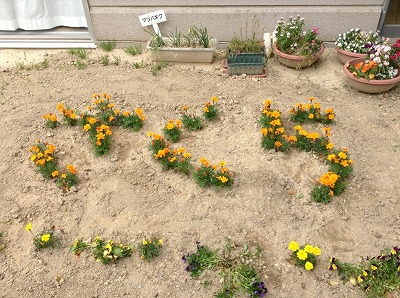 t2015.5.27 1.jpg